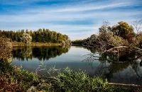 Cos'è la Vinca: la guida sulla Valutazione di Incidenza Ambientale
