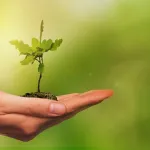 Valutazione ambientale strategica: cos'è e come funziona la VAS