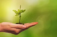 Valutazione ambientale strategica: cos'è e come funziona la VAS