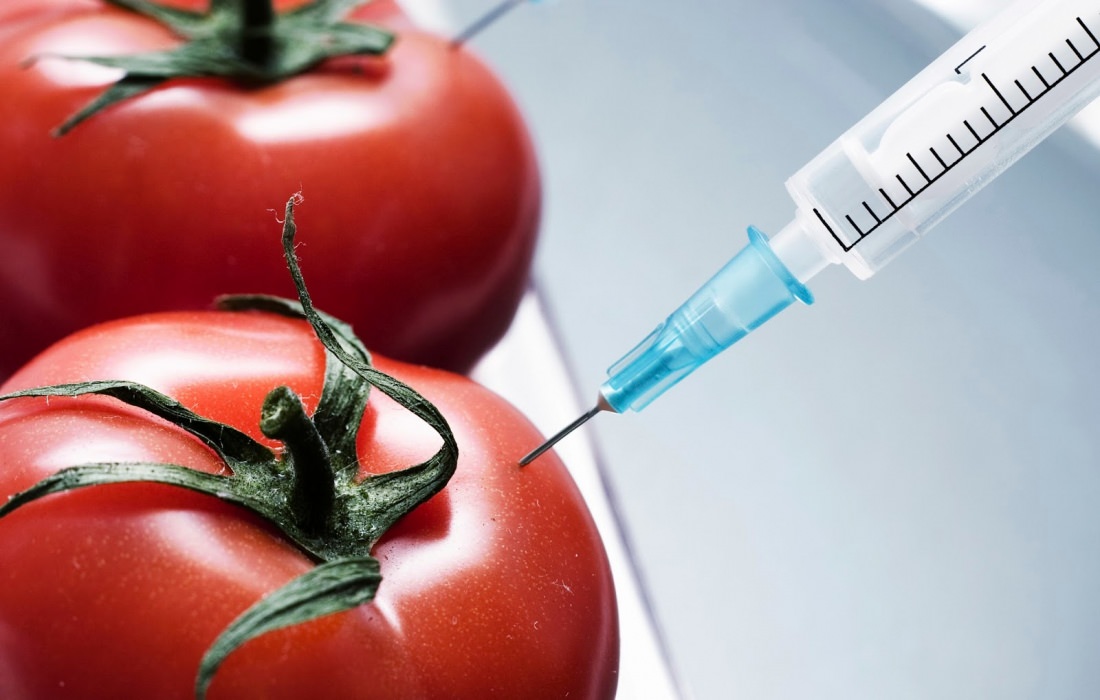 Alimenti Contaminati Tipologie Di Contaminazione Le Malattie Che Causano E Gli Obblighi Di Legge