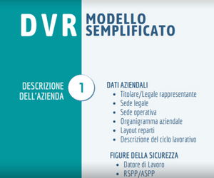 Anteprima linee guida DVR semplificato